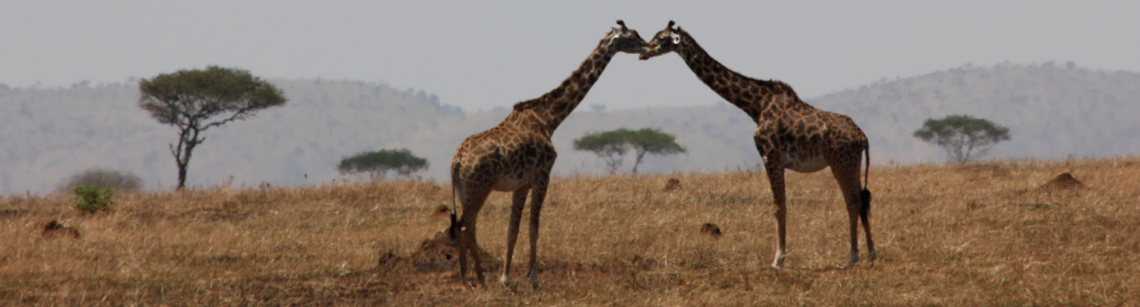 Arusha National Park