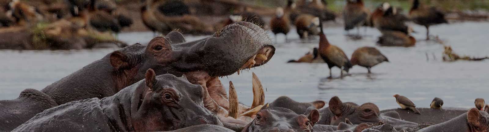 Tarangire National Park