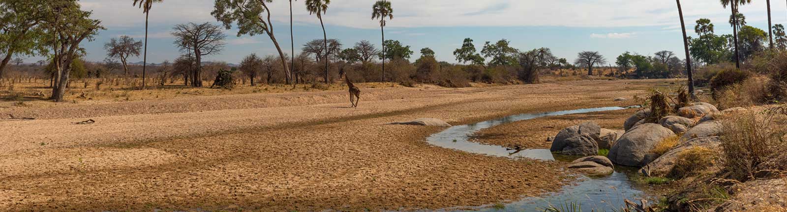 Ruaha National Park