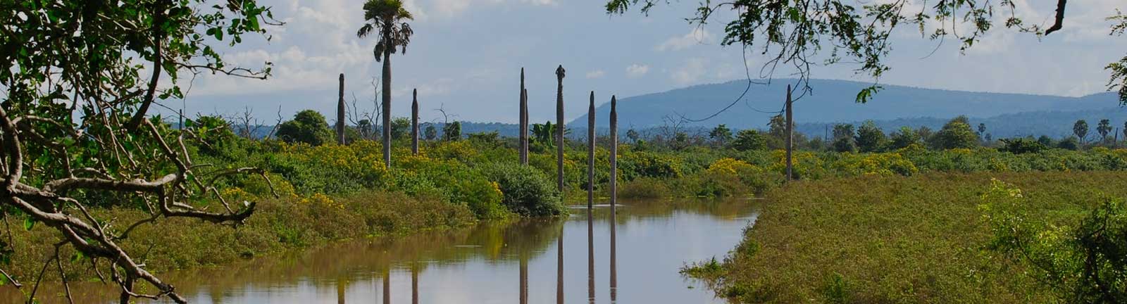 Selous Game Reserve