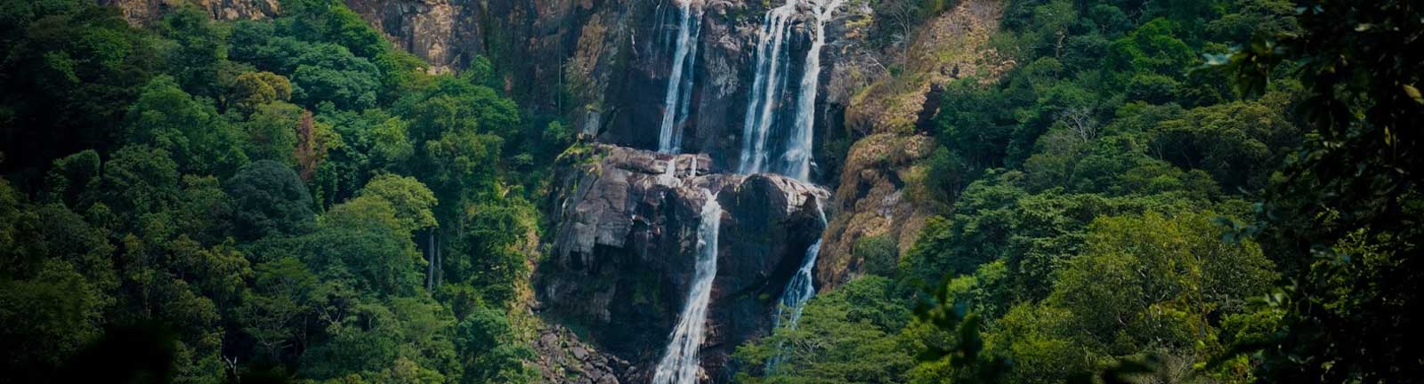 Udzungwa Mountains National Parks