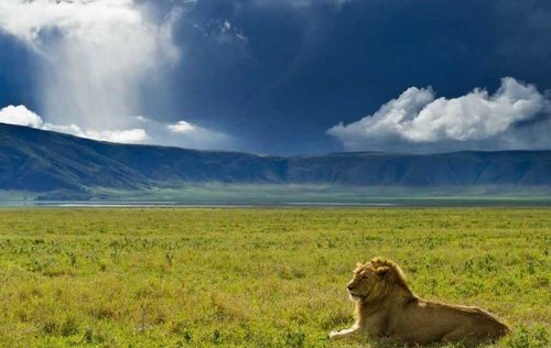 Ngorongoro Conservation Area