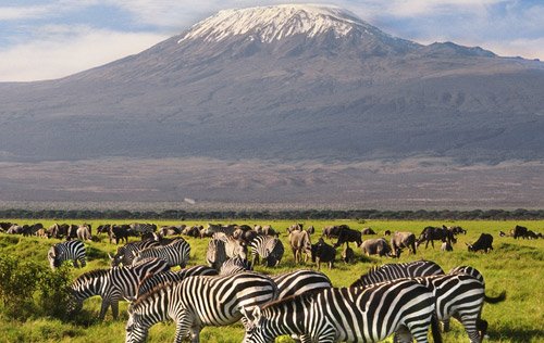 Amboseli National Park