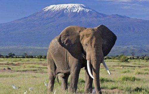 Tsavo West National Park