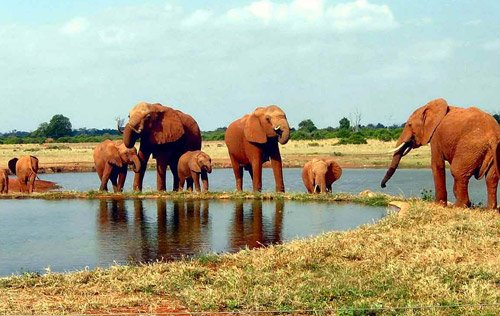 Tsavo East National Park