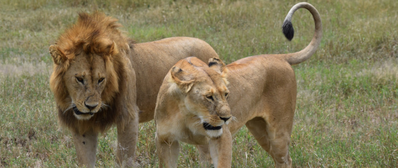 Serengeti National Park