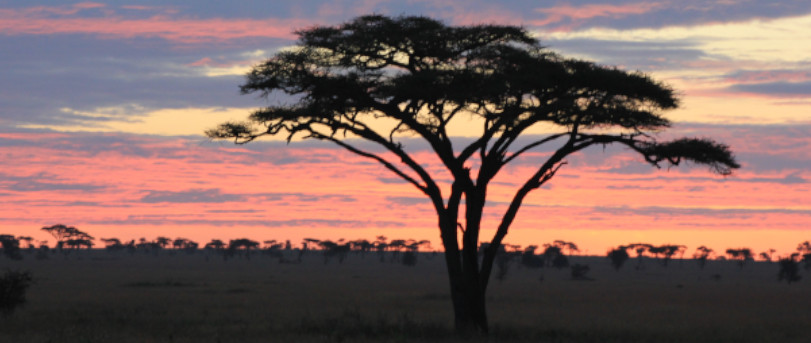 Tarangire National Park