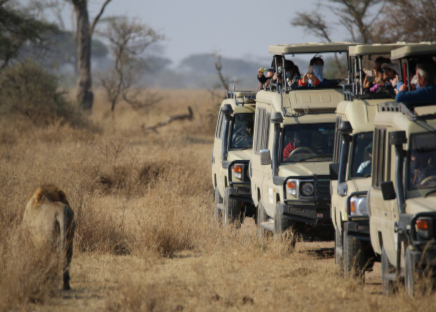 Serengeti National Park