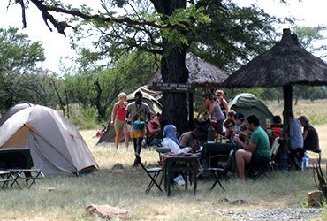 Tanzania Budget Camping Safaris