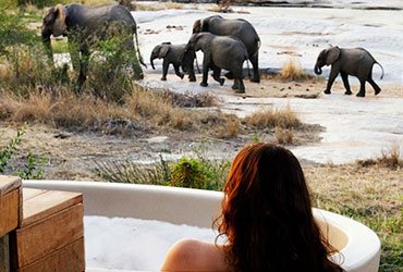 Tanzania Luxury Safaris