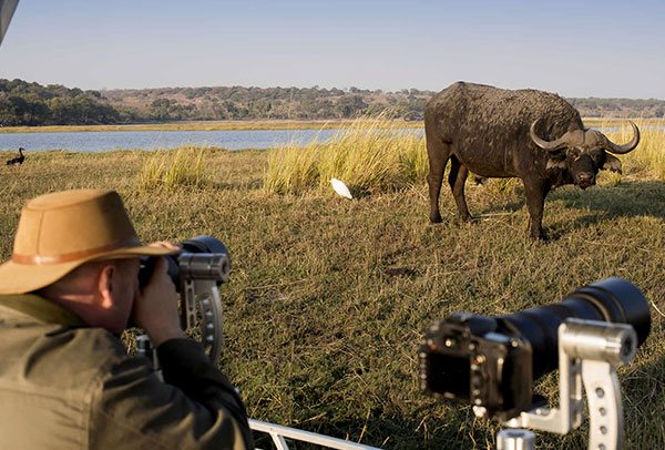 Tanzania Photography Safaris