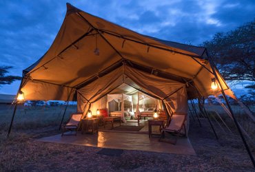 Tented Camping Safari