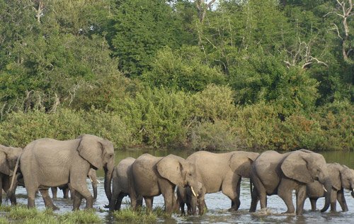 Selous Game Reserve